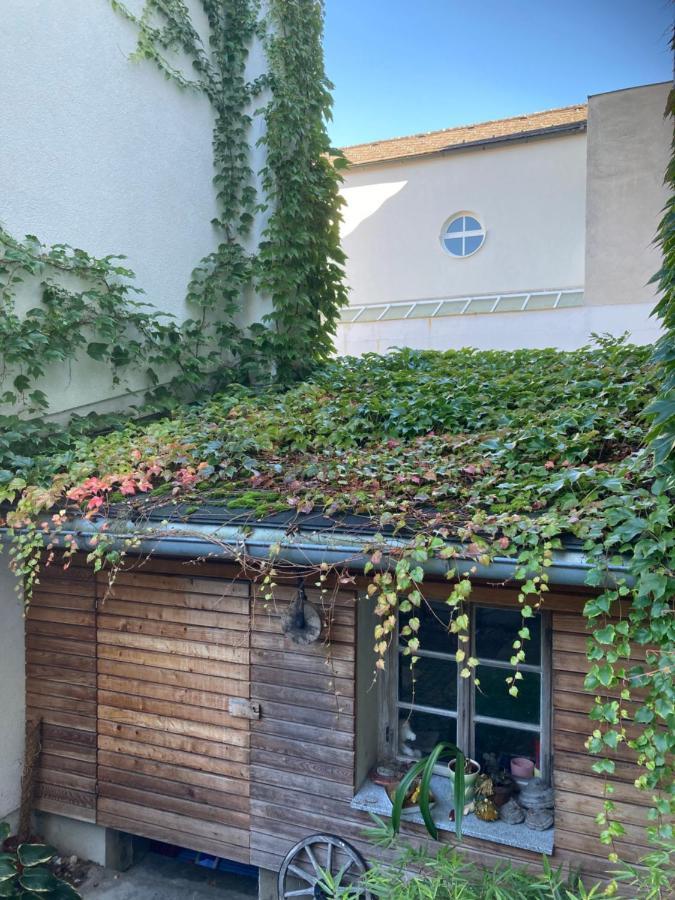 Pension Sunnseitn - Gasthof - Cafe - Weinkeller Haslach an der Mühl Eksteriør billede