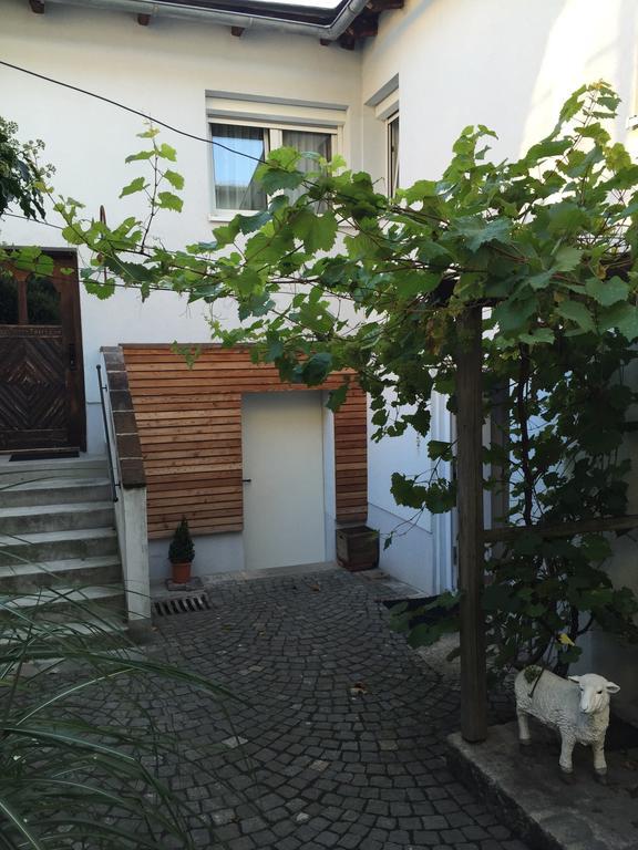 Pension Sunnseitn - Gasthof - Cafe - Weinkeller Haslach an der Mühl Eksteriør billede
