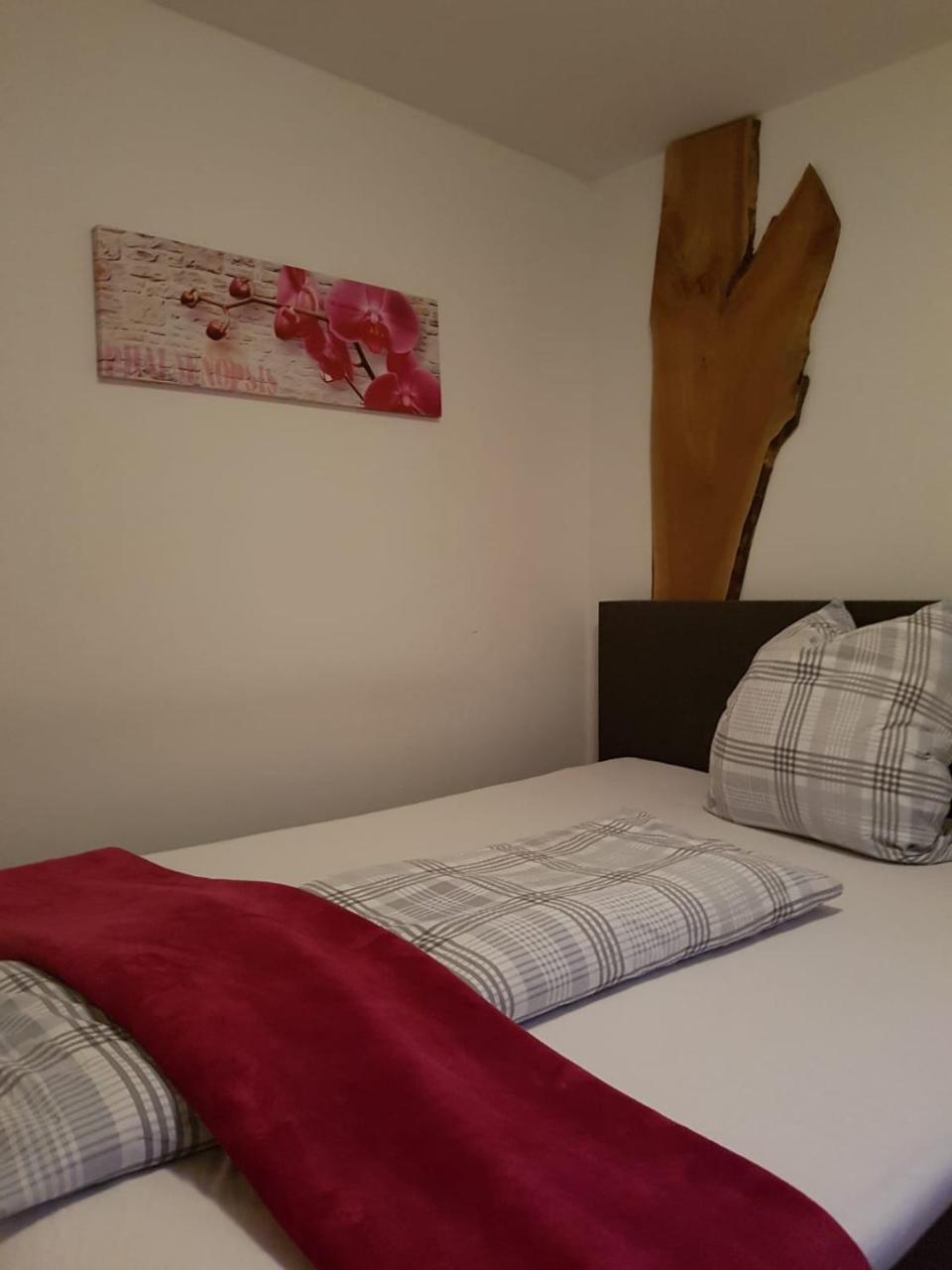 Pension Sunnseitn - Gasthof - Cafe - Weinkeller Haslach an der Mühl Eksteriør billede